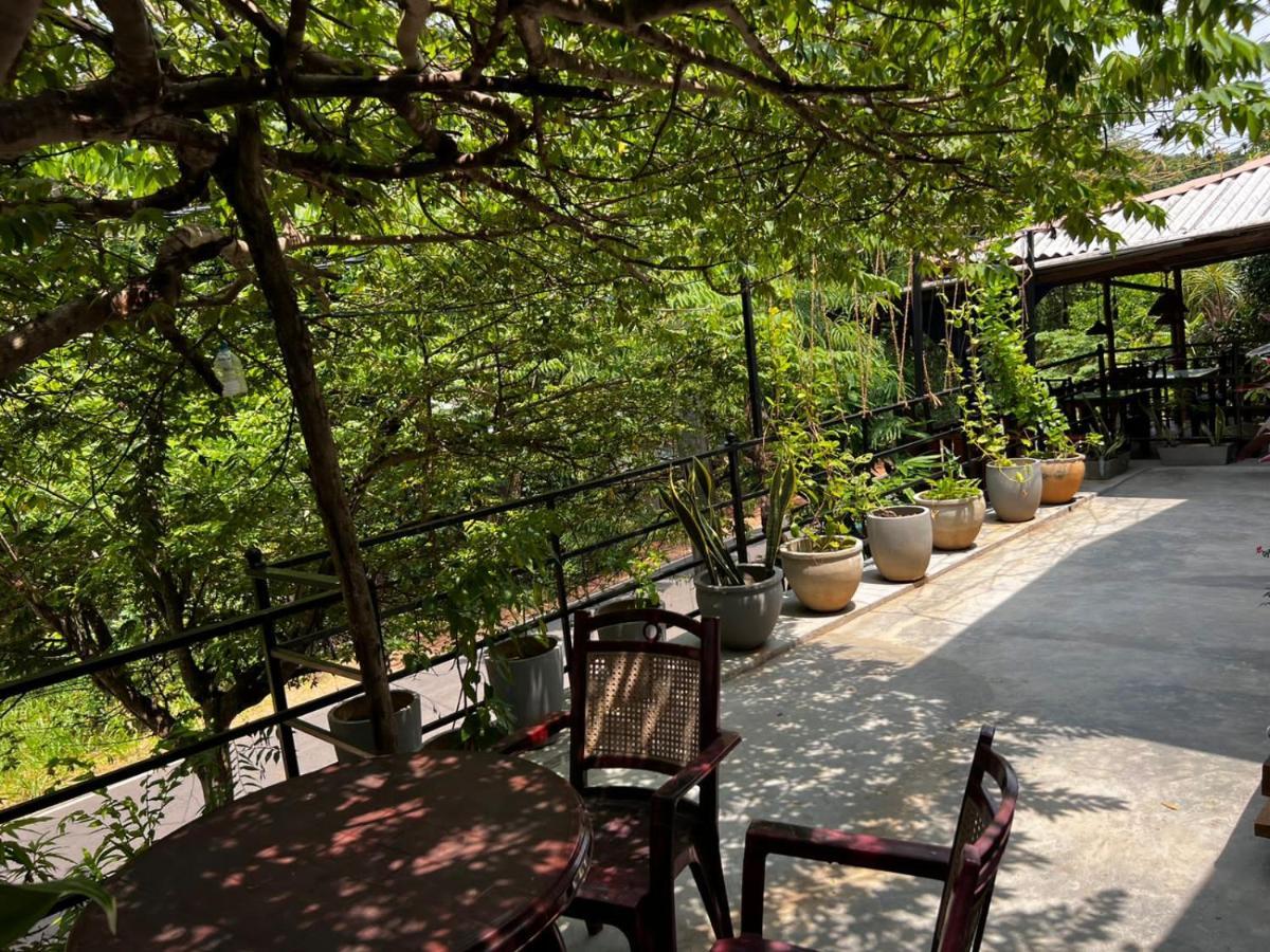 The Traveller'S Hostel & Private Rooms 시기리야 외부 사진