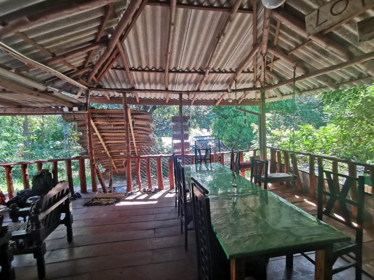 The Traveller'S Hostel & Private Rooms 시기리야 외부 사진